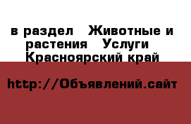  в раздел : Животные и растения » Услуги . Красноярский край